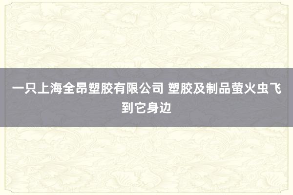 一只上海全昂塑胶有限公司 塑胶及制品萤火虫飞到它身边